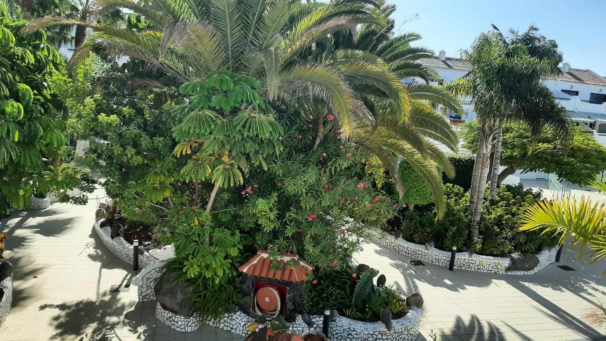 Blue Bay Paradise - Beach Front Apartment With Sea View Playa Paraiso  Exteriör bild